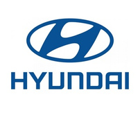 Запасні частини для двигунів Hyundai вилкових навантажувачів